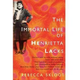Image for article titled Henrietta Lacks and Her Cancer Cells